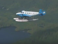 Flying Fever